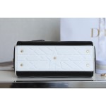 DIOR VIBE 拉链保龄球包